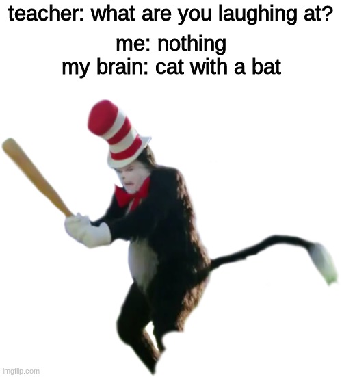 the cat with a bat will make you regret stealing his hat |  teacher: what are you laughing at? me: nothing
my brain: cat with a bat | image tagged in cat in the hat,baseball bat | made w/ Imgflip meme maker