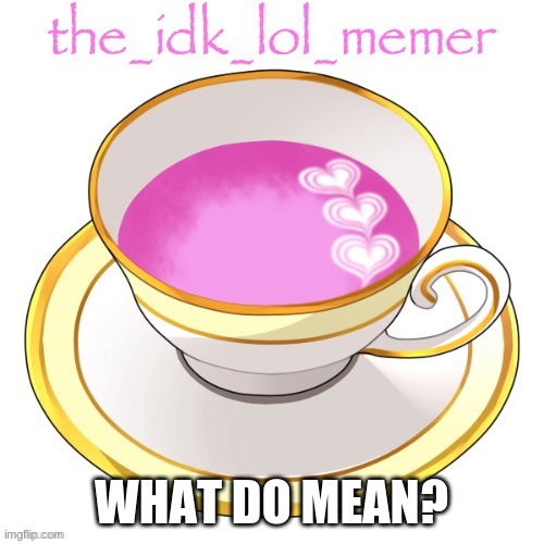 the_idk_lol_memer temp | WHAT DO MEAN? | image tagged in the_idk_lol_memer temp | made w/ Imgflip meme maker
