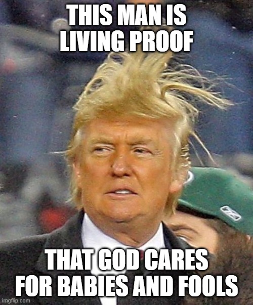 Donald Trumph hair | THIS MAN IS LIVING PROOF; THAT GOD CARES FOR BABIES AND FOOLS | image tagged in donald trumph hair | made w/ Imgflip meme maker