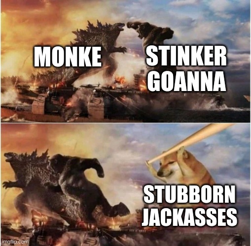Kong Godzilla Doge | STINKER GOANNA; MONKE; STUBBORN JACKASSES | image tagged in kong godzilla doge | made w/ Imgflip meme maker