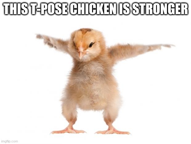 strongest chicken | THIS T-POSE CHICKEN IS STRONGER | image tagged in strongest chicken | made w/ Imgflip meme maker