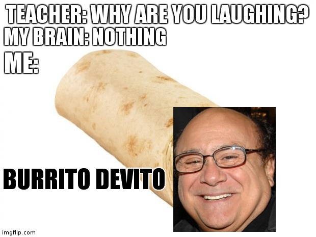 Lol |  MY BRAIN: NOTHING; TEACHER: WHY ARE YOU LAUGHING? ME:; BURRITO DEVITO | image tagged in burrito | made w/ Imgflip meme maker