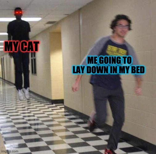 floating boy chasing running boy | MY CAT; ME GOING TO LAY DOWN IN MY BED | image tagged in floating boy chasing running boy | made w/ Imgflip meme maker