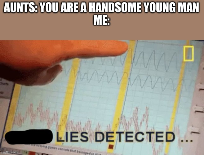 Lies Detected | AUNTS: YOU ARE A HANDSOME YOUNG MAN
ME: | image tagged in lies detected | made w/ Imgflip meme maker