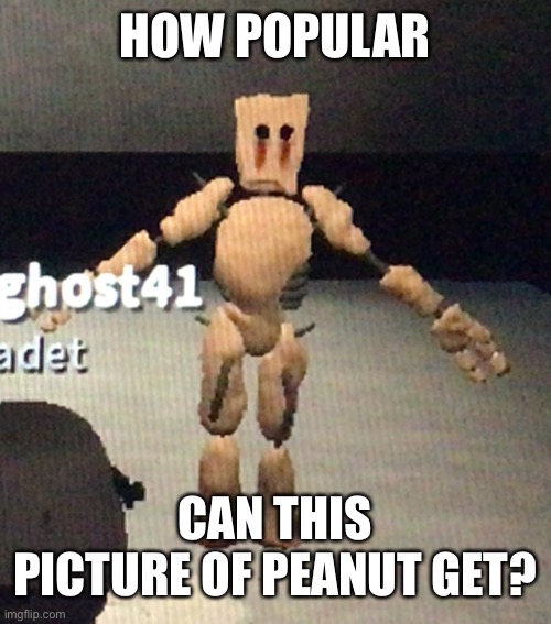 Have a nice day | HOW POPULAR; CAN THIS PICTURE OF PEANUT GET? | image tagged in peanut t pose | made w/ Imgflip meme maker