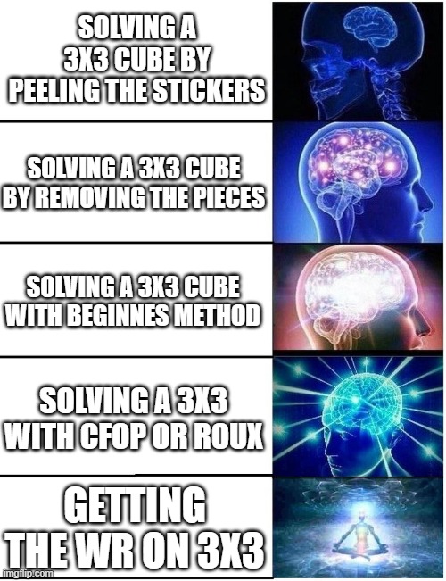 Expanding Brain 5 Panel | SOLVING A 3X3 CUBE BY PEELING THE STICKERS; SOLVING A 3X3 CUBE BY REMOVING THE PIECES; SOLVING A 3X3 CUBE WITH BEGINNES METHOD; SOLVING A 3X3 WITH CFOP OR ROUX; GETTING THE WR ON 3X3 | image tagged in expanding brain 5 panel | made w/ Imgflip meme maker