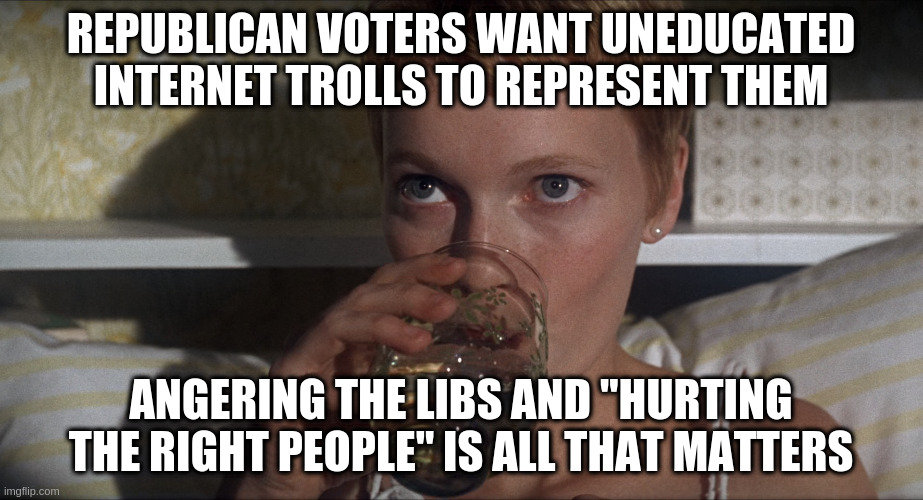 pretty much sums it all up | REPUBLICAN VOTERS WANT UNEDUCATED INTERNET TROLLS TO REPRESENT THEM; ANGERING THE LIBS AND "HURTING THE RIGHT PEOPLE" IS ALL THAT MATTERS | image tagged in rosemary,gop,sad | made w/ Imgflip meme maker