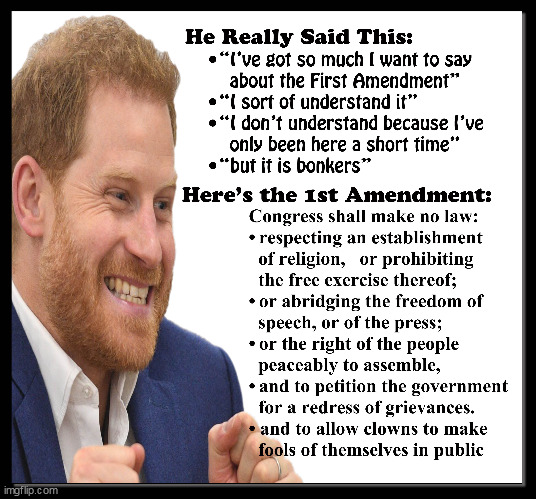 HARRY PUTZ | image tagged in prince,harry,idiot,bonkers | made w/ Imgflip meme maker