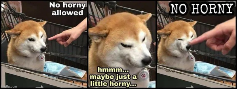 Just a little horny | image tagged in just a little horny | made w/ Imgflip meme maker