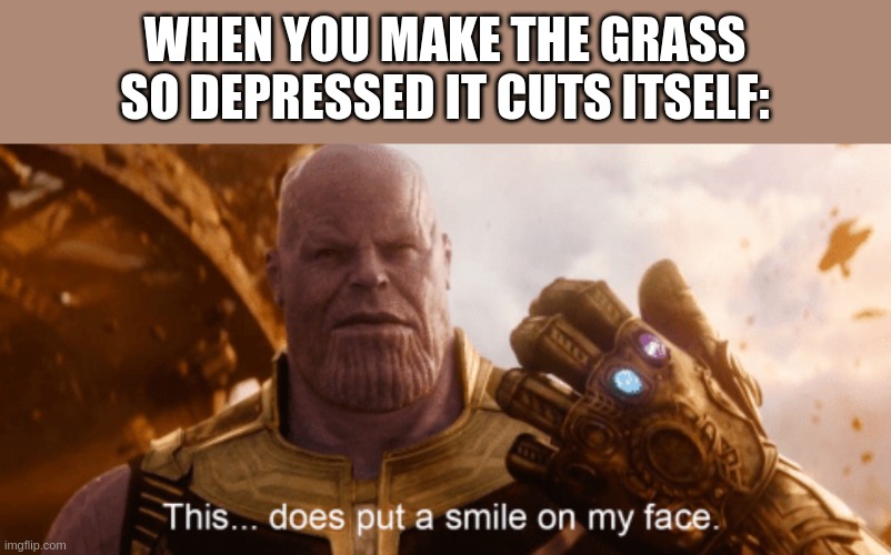 *WHEEEEEEZE* | WHEN YOU MAKE THE GRASS SO DEPRESSED IT CUTS ITSELF: | image tagged in this does put a smile to my face | made w/ Imgflip meme maker