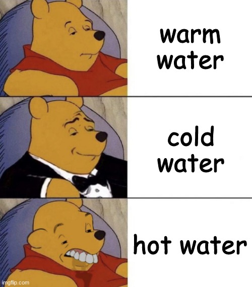 Whinnie The Poo (Normal, Fancy, Gross) | warm water; cold water; hot water | image tagged in whinnie the poo normal fancy gross | made w/ Imgflip meme maker