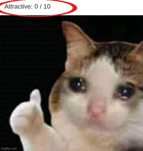 image tagged in crying thumbs up | made w/ Imgflip meme maker