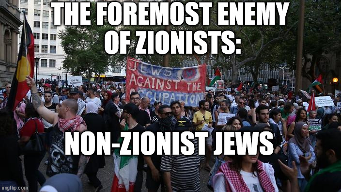 Non-zionist jews | THE FOREMOST ENEMY
 OF ZIONISTS:; NON-ZIONIST JEWS | image tagged in judaims,anti-zionism | made w/ Imgflip meme maker