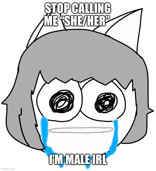 Crying Moneko | STOP CALLING ME “SHE/HER”; I’M MALE IRL | image tagged in crying moneko | made w/ Imgflip meme maker