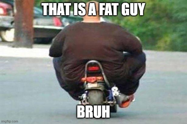 Fat dude | THAT IS A FAT GUY; BRUH | image tagged in fat guy on a little bike | made w/ Imgflip meme maker