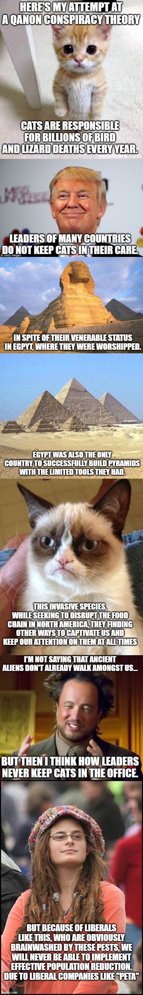 How do you think I did, guys? | HERE'S MY ATTEMPT AT A QANON CONSPIRACY THEORY; CATS ARE RESPONSIBLE FOR BILLIONS OF BIRD AND LIZARD DEATHS EVERY YEAR. LEADERS OF MANY COUNTRIES DO NOT KEEP CATS IN THEIR CARE. IN SPITE OF THEIR VENERABLE STATUS IN EGPYT, WHERE THEY WERE WORSHIPPED. EGYPT WAS ALSO THE ONLY COUNTRY TO SUCCESSFULLY BUILD PYRAMIDS WITH THE LIMITED TOOLS THEY HAD. THIS INVASIVE SPECIES, WHILE SEEKING TO DISRUPT THE FOOD CHAIN IN NORTH AMERICA, THEY FINDING OTHER WAYS TO CAPTIVATE US AND KEEP OUR ATTENTION ON THEM AT ALL TIMES; I'M NOT SAYING THAT ANCIENT ALIENS DON'T ALREADY WALK AMONGST US... BUT THEN I THINK HOW LEADERS NEVER KEEP CATS IN THE OFFICE. BUT BECAUSE OF LIBERALS LIKE THIS, WHO ARE OBVIOUSLY BRAINWASHED BY THESE PESTS, WE WILL NEVER BE ABLE TO IMPLEMENT EFFECTIVE POPULATION REDUCTION. DUE TO LIBERAL COMPANIES LIKE "PETA" | image tagged in memes,cute cat,donald trump approves,sphinx mullet,pyramids,grumpy cat | made w/ Imgflip meme maker