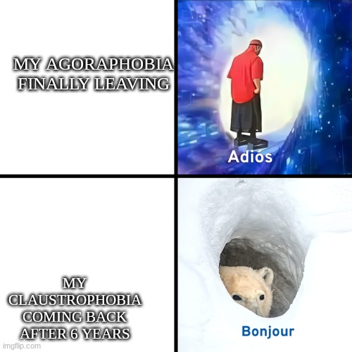 Adios Bonjour | MY AGORAPHOBIA FINALLY LEAVING; MY CLAUSTROPHOBIA COMING BACK AFTER 6 YEARS | image tagged in adios bonjour | made w/ Imgflip meme maker
