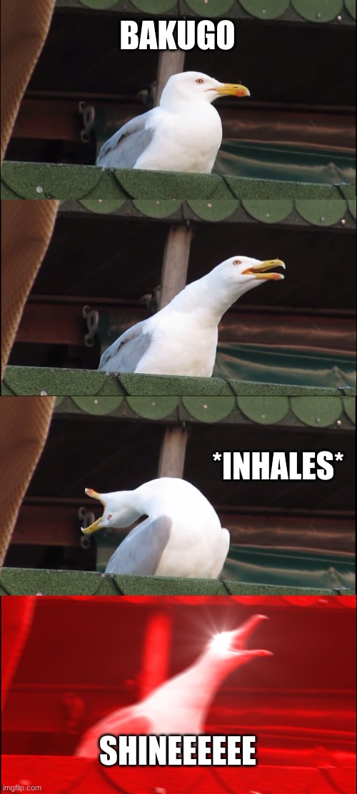 Inhaling Seagull | BAKUGO; *INHALES*; SHINEEEEEE | image tagged in memes,inhaling seagull | made w/ Imgflip meme maker