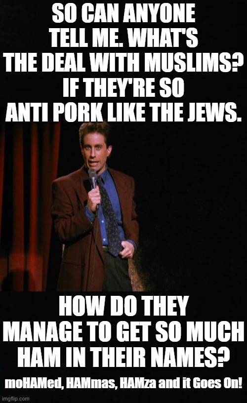 SO CAN ANYONE TELL ME. WHAT'S THE DEAL WITH MUSLIMS? IF THEY'RE SO ANTI PORK LIKE THE JEWS. HOW DO THEY MANAGE TO GET SO MUCH HAM IN THEIR N | image tagged in seinfeld | made w/ Imgflip meme maker
