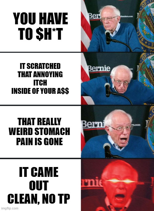 Perfect Poop | YOU HAVE TO $H*T; IT SCRATCHED THAT ANNOYING ITCH INSIDE OF YOUR A$$; THAT REALLY WEIRD STOMACH PAIN IS GONE; IT CAME OUT CLEAN, NO TP | image tagged in bernie sanders reaction nuked | made w/ Imgflip meme maker