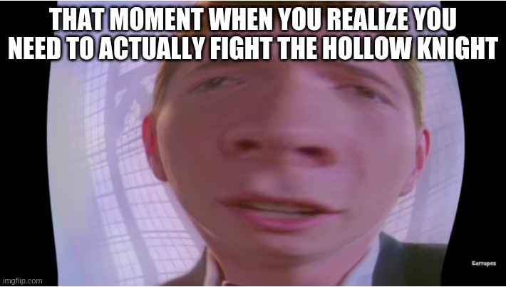 FAT | THAT MOMENT WHEN YOU REALIZE YOU NEED TO ACTUALLY FIGHT THE HOLLOW KNIGHT | image tagged in fat | made w/ Imgflip meme maker