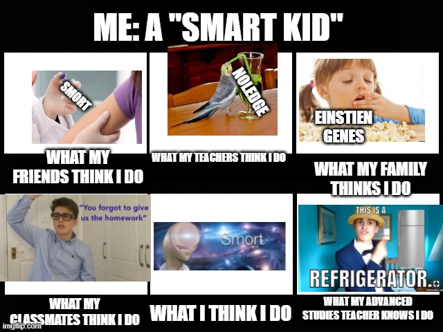 What my friends think I do | ME: A "SMART KID"; NOLEDGE; SMORT; EINSTIEN GENES; WHAT MY FRIENDS THINK I DO; WHAT MY TEACHERS THINK I DO; WHAT MY FAMILY THINKS I DO; WHAT MY ADVANCED STUDIES TEACHER KNOWS I DO; WHAT MY CLASSMATES THINK I DO; WHAT I THINK I DO | image tagged in what my friends think i do | made w/ Imgflip meme maker