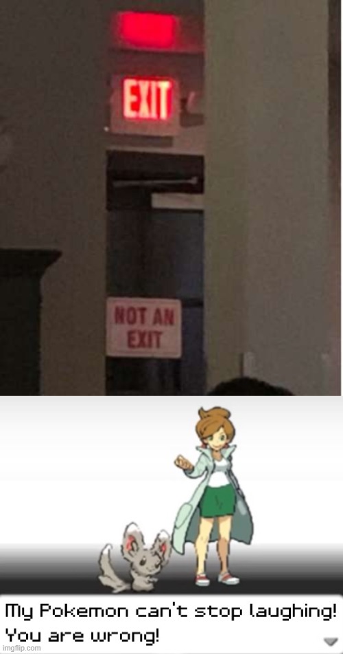 the exit isnt an exit | image tagged in my pokemon can't stop laughing you are wrong,irony,memes,funny | made w/ Imgflip meme maker