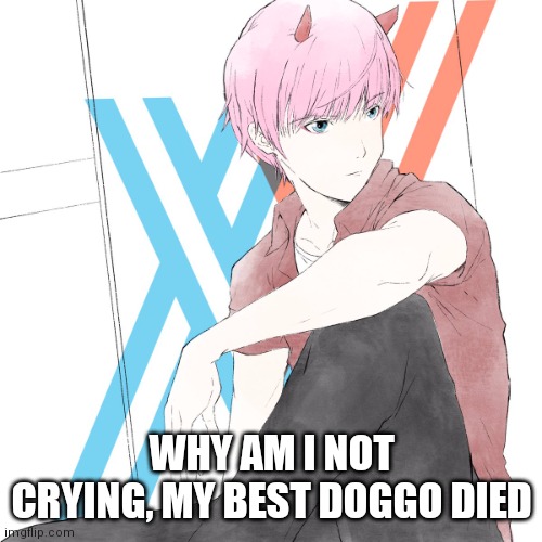 J02_69-420 | WHY AM I NOT CRYING, MY BEST DOGGO DIED | image tagged in j02_69-420 | made w/ Imgflip meme maker