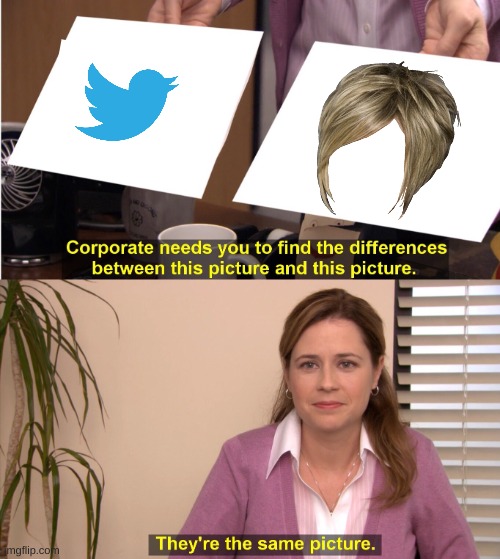 Twitter is just one big Karen | image tagged in memes,they're the same picture | made w/ Imgflip meme maker