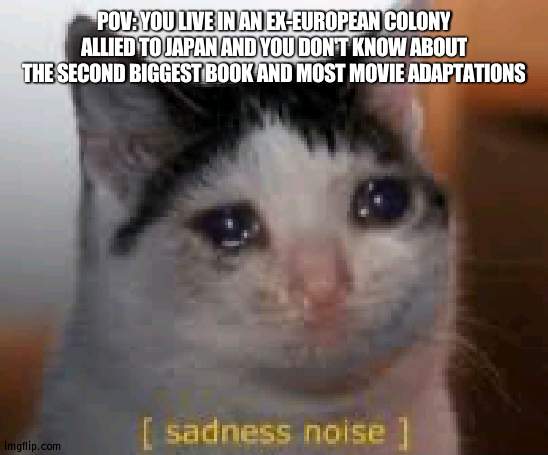 Paula somehow doesn't know it | POV: YOU LIVE IN AN EX-EUROPEAN COLONY ALLIED TO JAPAN AND YOU DON'T KNOW ABOUT THE SECOND BIGGEST BOOK AND MOST MOVIE ADAPTATIONS | image tagged in sadness noises | made w/ Imgflip meme maker