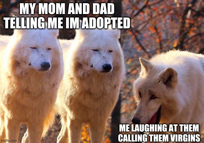 1/3 Wolves Laugh | MY MOM AND DAD TELLING ME IM ADOPTED; ME LAUGHING AT THEM CALLING THEM VIRGINS | image tagged in 1/3 wolves laugh | made w/ Imgflip meme maker