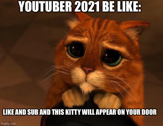 puss in boots eyes | YOUTUBER 2021 BE LIKE:; LIKE AND SUB AND THIS KITTY WILL APPEAR ON YOUR DOOR | image tagged in puss in boots eyes | made w/ Imgflip meme maker
