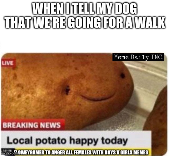Don't read the bottom | WHEN I TELL MY DOG THAT WE'RE GOING FOR A WALK; FLOWEYGAMER TO ANGER ALL FEMALES WITH BOYS V GIRLS MEMES | image tagged in local potato happy,easter eggs,doggos | made w/ Imgflip meme maker