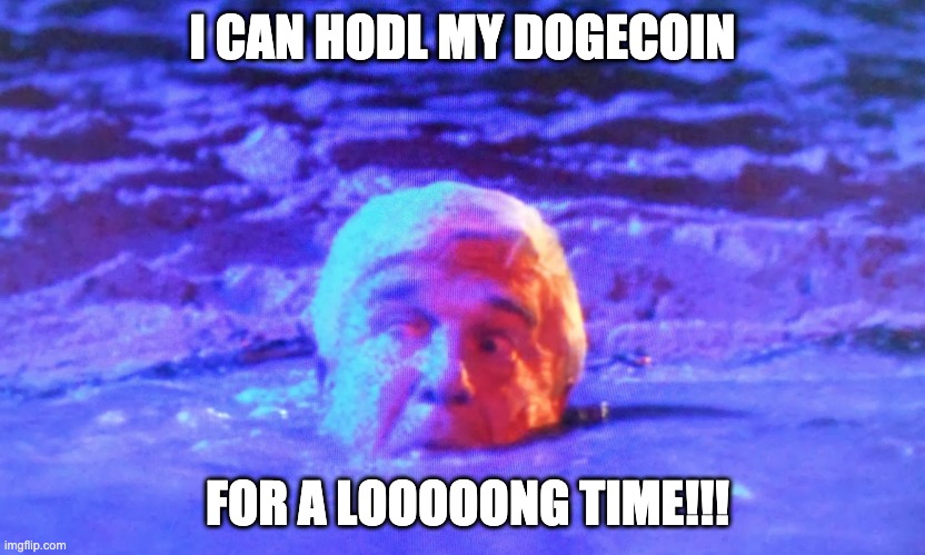 I can hodl dogecoin for a long time | I CAN HODL MY DOGECOIN; FOR A LOOOOONG TIME!!! | image tagged in dogecoin | made w/ Imgflip meme maker