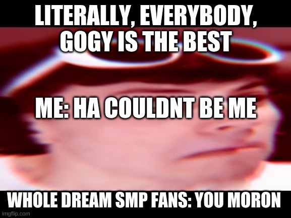 Everybody in dream smp do be simping for gogy | LITERALLY, EVERYBODY, GOGY IS THE BEST; ME: HA COULDNT BE ME; WHOLE DREAM SMP FANS: YOU MORON | image tagged in goog | made w/ Imgflip meme maker