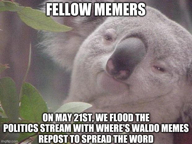 std: save the date | FELLOW MEMERS; ON MAY 21ST, WE FLOOD THE POLITICS STREAM WITH WHERE'S WALDO MEMES
REPOST TO SPREAD THE WORD | image tagged in dank koala,msmg,politics | made w/ Imgflip meme maker