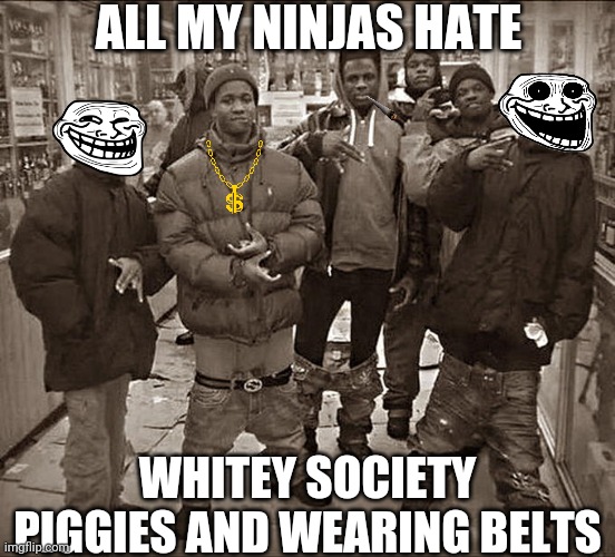 All My Homies Hate | ALL MY NINJAS HATE; WHITEY SOCIETY PIGGIES AND WEARING BELTS | image tagged in all my homies hate | made w/ Imgflip meme maker