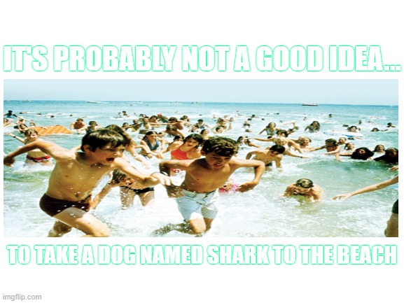 SHARK!!! Get Out Of The Water!!!I Don't Want You Getting All Wet. | IT'S PROBABLY NOT A GOOD IDEA... TO TAKE A DOG NAMED SHARK TO THE BEACH | image tagged in shark meme,beach meme,not a good idea memes | made w/ Imgflip meme maker