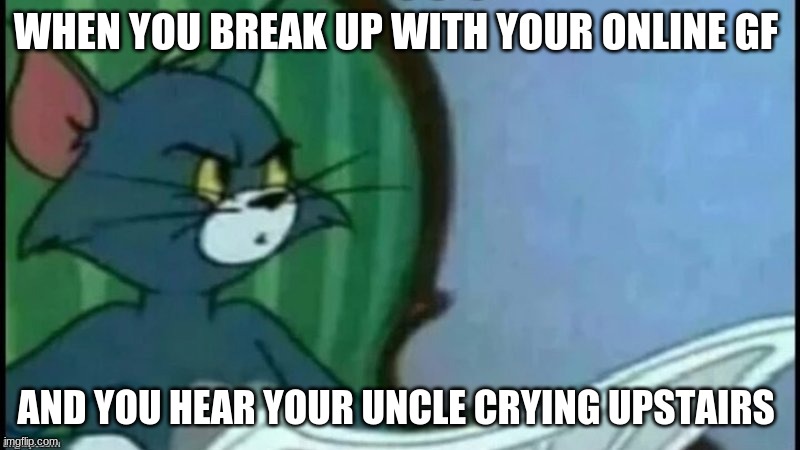 Yeee... | WHEN YOU BREAK UP WITH YOUR ONLINE GF; AND YOU HEAR YOUR UNCLE CRYING UPSTAIRS | image tagged in tom cat looking confused | made w/ Imgflip meme maker