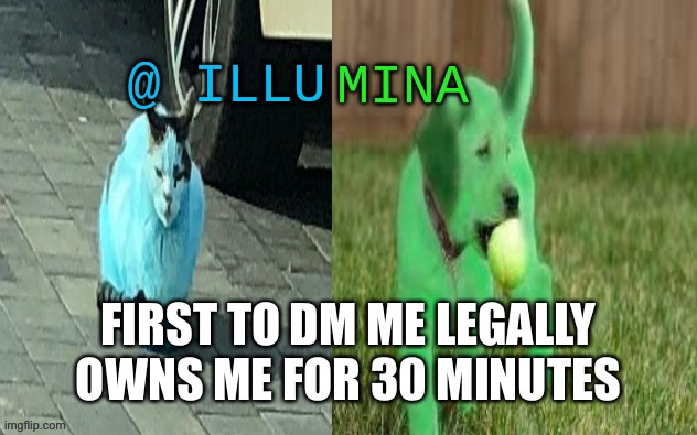 illumina new temp | FIRST TO DM ME LEGALLY OWNS ME FOR 30 MINUTES | image tagged in illumina new temp | made w/ Imgflip meme maker