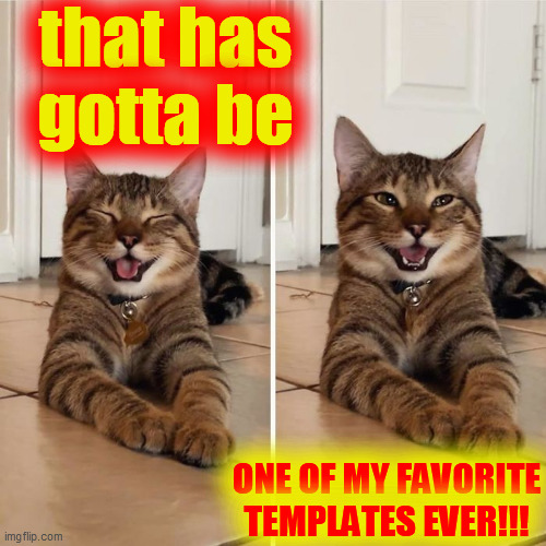 Cat Cracking Up | that has
gotta be ONE OF MY FAVORITE
TEMPLATES EVER!!! | image tagged in cat cracking up | made w/ Imgflip meme maker