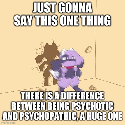 Furry zooms through wall | JUST GONNA SAY THIS ONE THING; THERE IS A DIFFERENCE BETWEEN BEING PSYCHOTIC AND PSYCHOPATHIC, A HUGE ONE | image tagged in furry zooms through wall | made w/ Imgflip meme maker