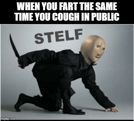Stelf | WHEN YOU FART THE SAME TIME YOU COUGH IN PUBLIC | image tagged in stelf,cough,fart | made w/ Imgflip meme maker