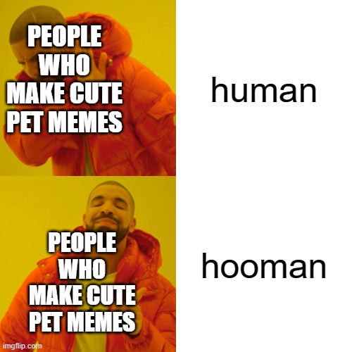 just look at 1 of them | human; PEOPLE WHO MAKE CUTE PET MEMES; hooman; PEOPLE WHO MAKE CUTE PET MEMES | image tagged in memes,drake hotline bling | made w/ Imgflip meme maker