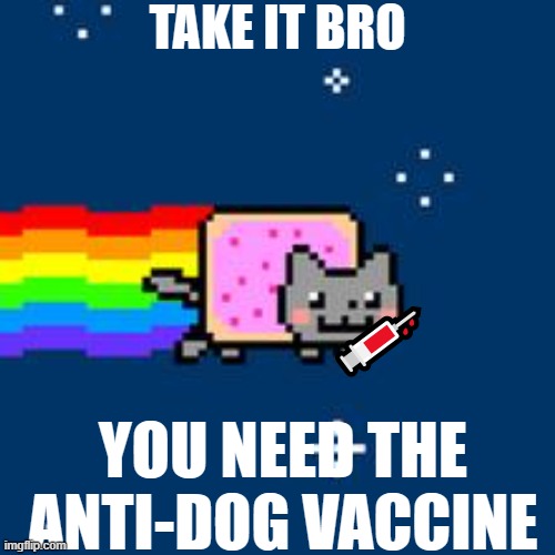 you need the anti dog vaccine |  TAKE IT BRO; 💉; YOU NEED THE ANTI-DOG VACCINE | image tagged in nyan cat,memes | made w/ Imgflip meme maker