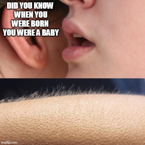 Whisper and Goosebumps |  DID YOU KNOW 
WHEN YOU WERE BORN 
YOU WERE A BABY | image tagged in whisper and goosebumps | made w/ Imgflip meme maker
