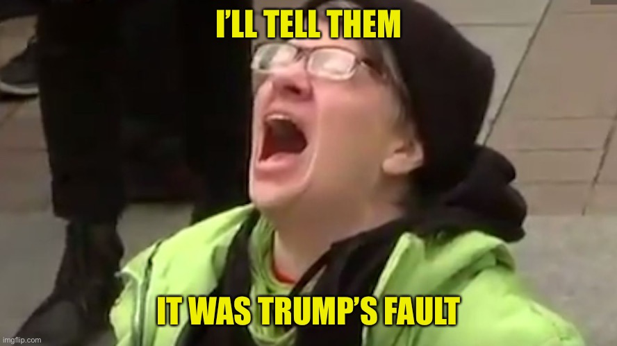 Screaming Liberal  | I’LL TELL THEM IT WAS TRUMP’S FAULT | image tagged in screaming liberal | made w/ Imgflip meme maker