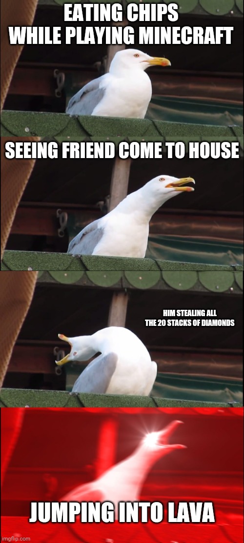 Inhaling Seagull Meme | EATING CHIPS WHILE PLAYING MINECRAFT; SEEING FRIEND COME TO HOUSE; HIM STEALING ALL THE 20 STACKS OF DIAMONDS; JUMPING INTO LAVA | image tagged in memes,inhaling seagull | made w/ Imgflip meme maker