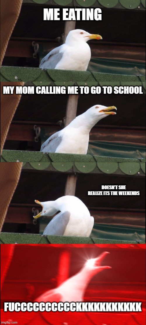 School mornings in a nutshell | ME EATING; MY MOM CALLING ME TO GO TO SCHOOL; DOESN'T SHE REALIZE ITS THE WEEKENDS; FUCCCCCCCCCCKKKKKKKKKKK | image tagged in memes,inhaling seagull | made w/ Imgflip meme maker