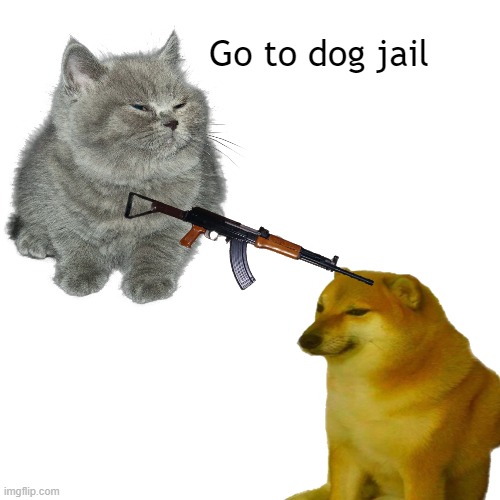 go to dog jail | Go to dog jail | image tagged in cats,memes | made w/ Imgflip meme maker